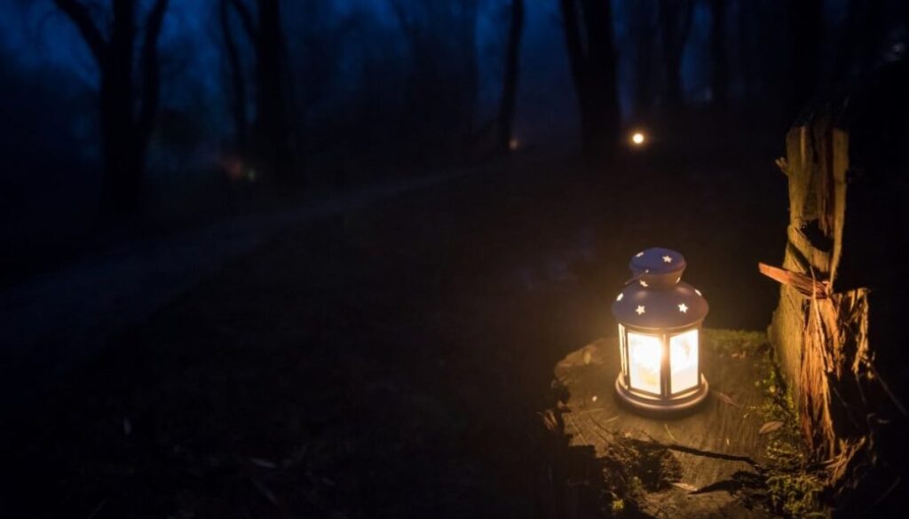10948-Lichtjeswandeling,-lantaarn@Marjolein-den-Hartog---KISSMYARTS