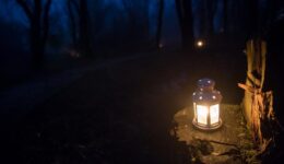 10948-Lichtjeswandeling,-lantaarn@Marjolein-den-Hartog---KISSMYARTS
