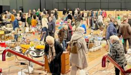 Vlooienmarkt de Meenthe