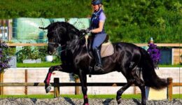 Loes-Corsel