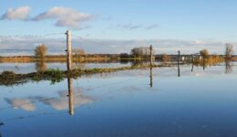 hoogwater-2 (1)