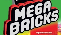 Mega-bricks-Steenwijk-25-dl1