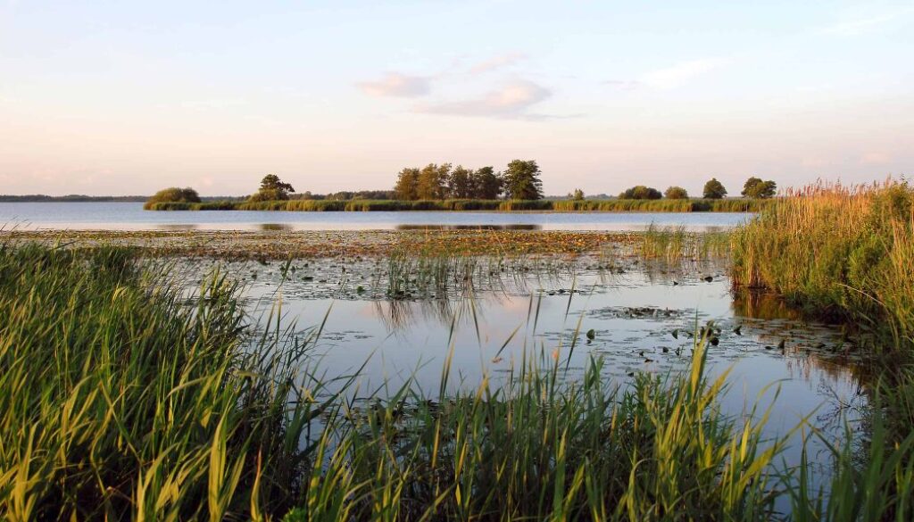 Stilte vaartocht De Wieden