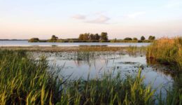 Stilte vaartocht De Wieden