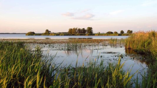 Stilte vaartocht De Wieden