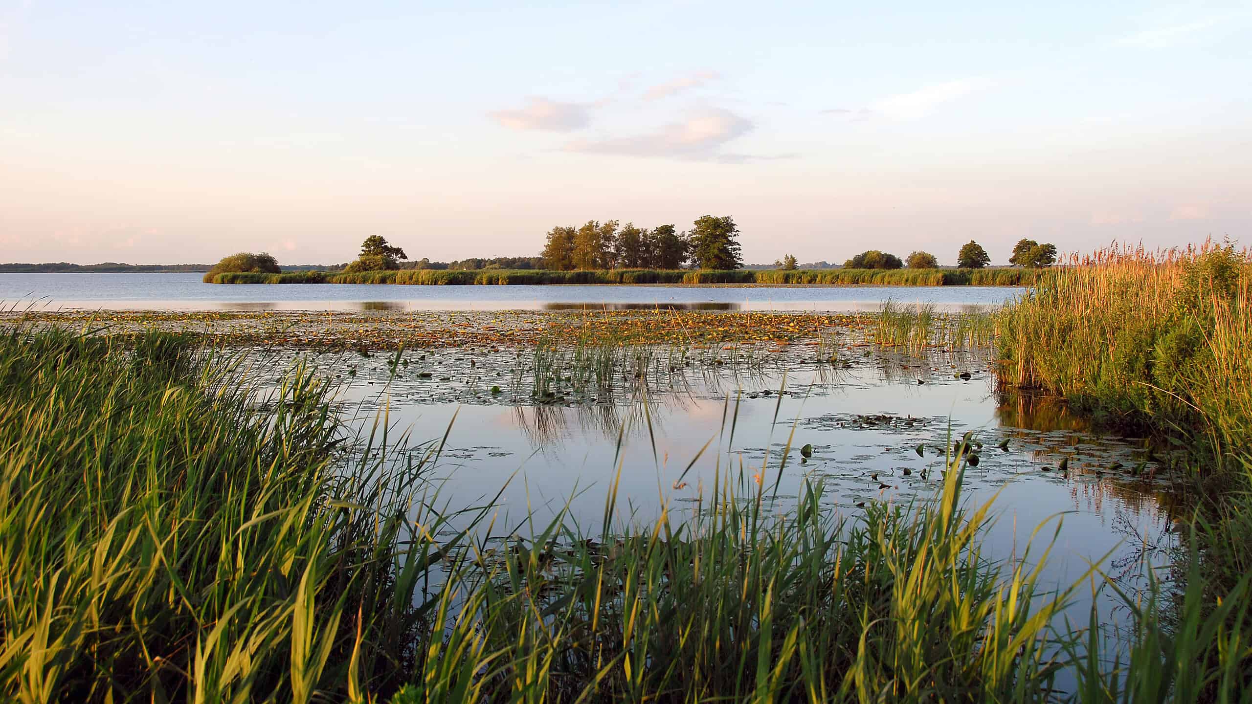 Stilte vaartocht De Wieden