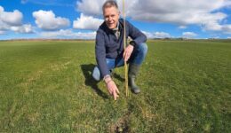 foto: Henk Tulner uit Tuk vindt eerste Overijsselse kievitsei van 2025. fotograaf: Arjen Nieuwenhuis.