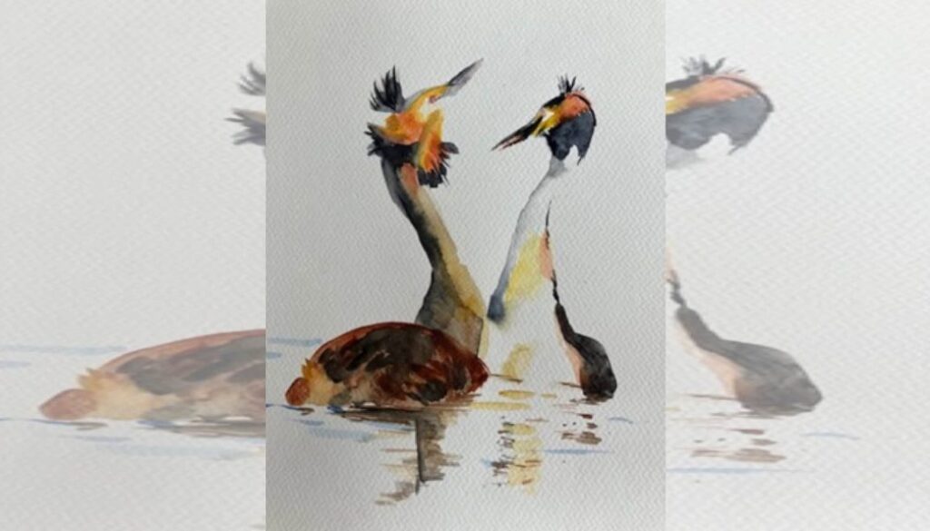 Workshop vogels schilderen