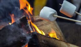 marshmallow-7639420_1280 (Foto Pixabay)
