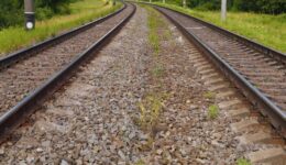 spoor