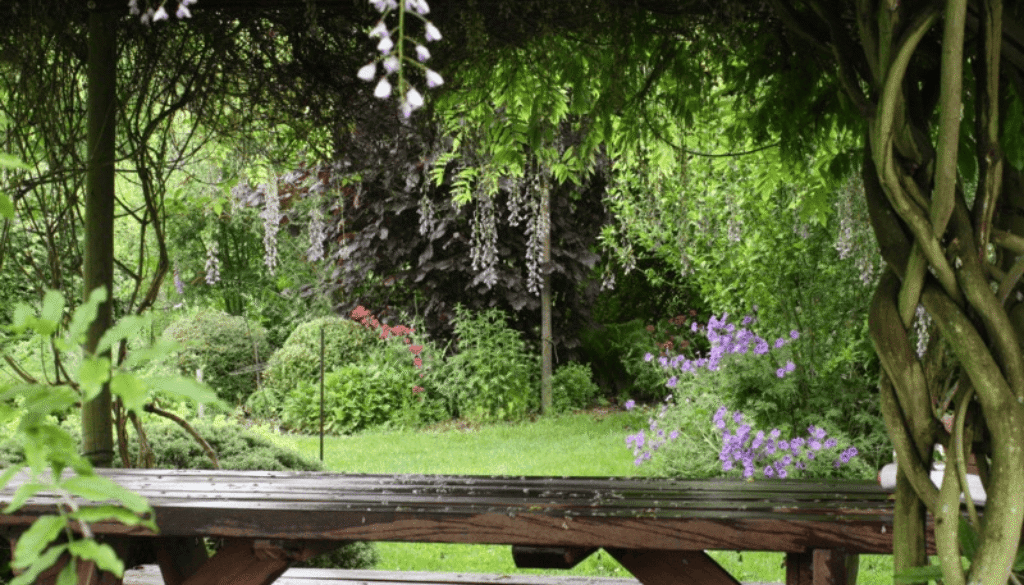Biodiverse & eetbare tuin