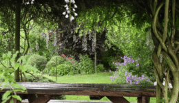 Biodiverse & eetbare tuin
