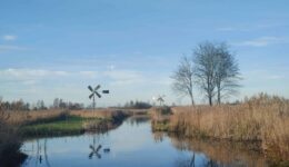 Nationaal Park Weerribben-Wieden in Steenwijkerland