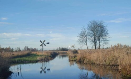 Nationaal Park Weerribben-Wieden in Steenwijkerland