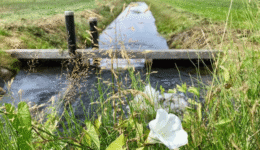 droogtefoto1