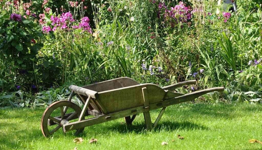 groentetuin (Foto Pixabay)