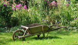 groentetuin (Foto Pixabay)