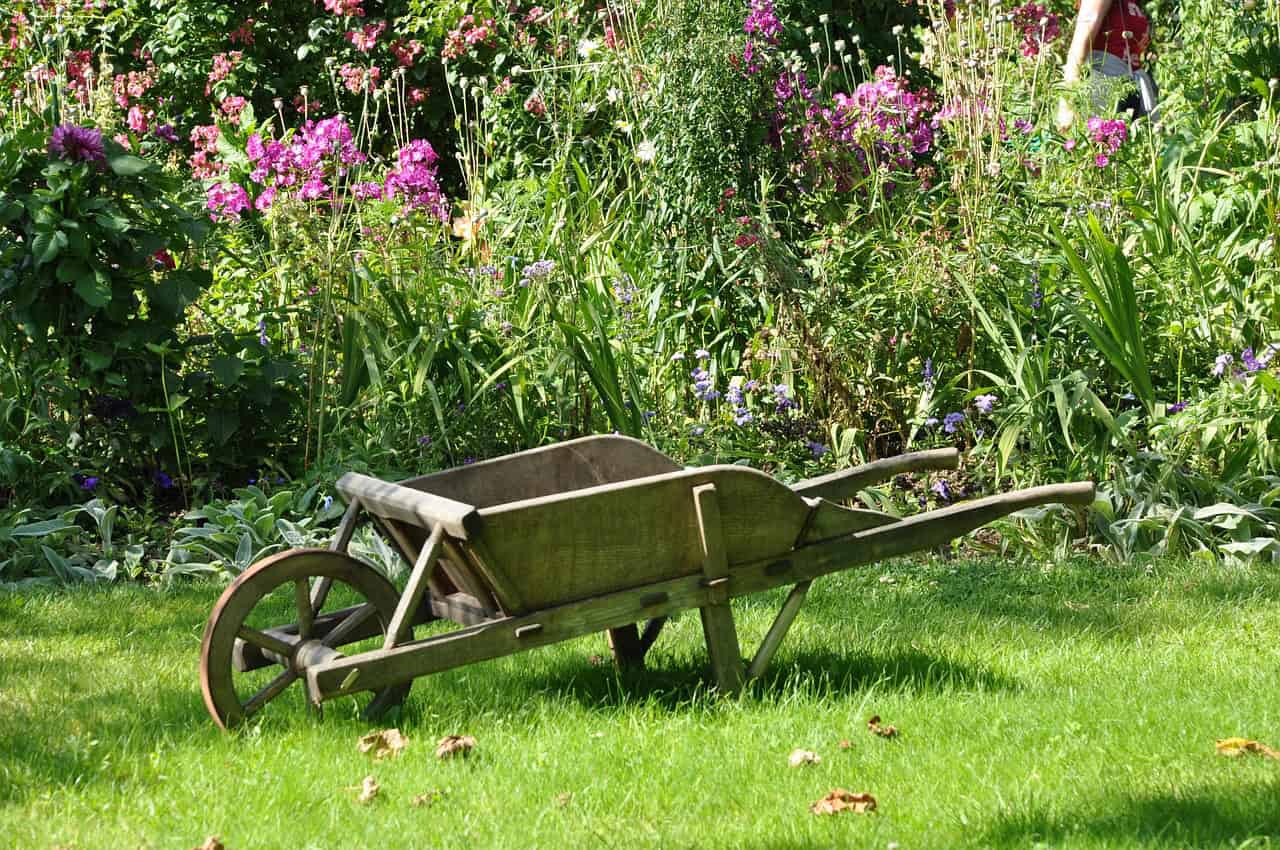 groentetuin (Foto Pixabay)