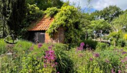 Tuin van Maurice Otten en Jantine Smit aan de Horstweg in Paasloo
