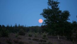 Volle-maan Aekingerzand