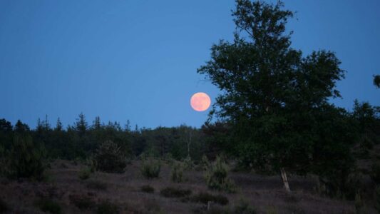 Volle-maan Aekingerzand