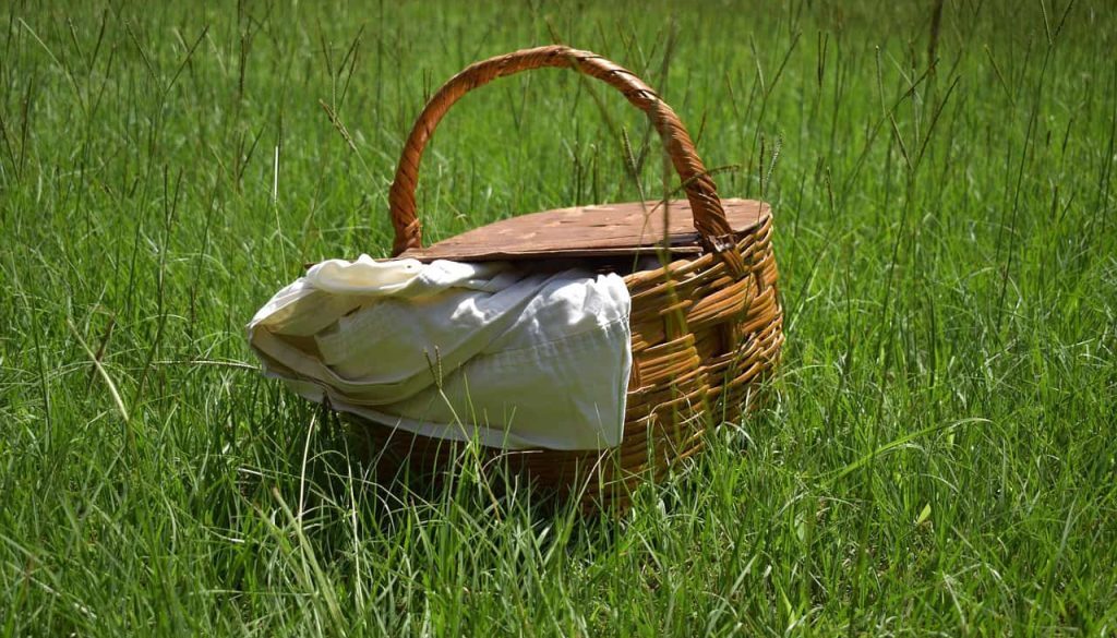 Picknickmand. ©Pixabay (Foto Pixabay)