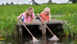 Natuurmonumenten-Waterbeestjes zoeken - foto Laurence Delderfield