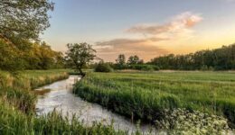 Oudemolensche Diep - foto T. Manak