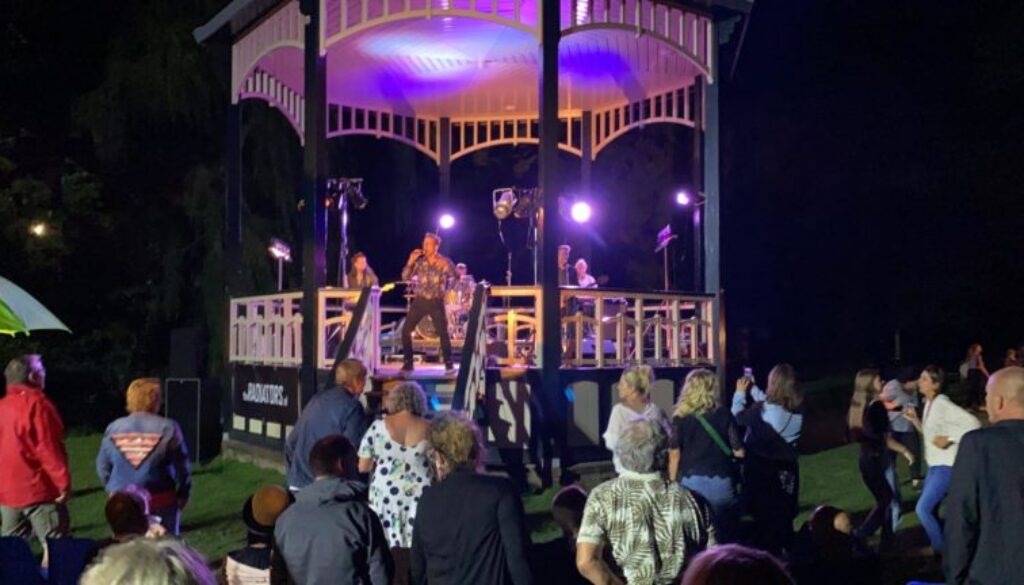 The radiators - live in het park - foto aangeleverd