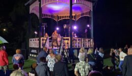 The radiators - live in het park - foto aangeleverd