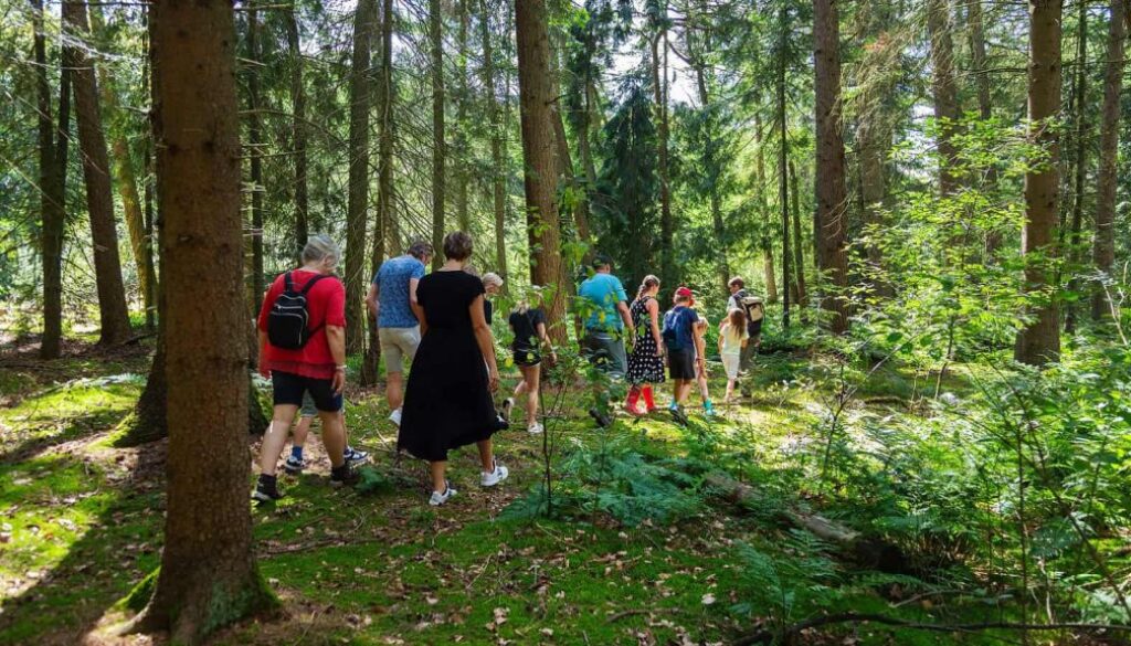 Wild op Woensdag - foto LauraCsonka