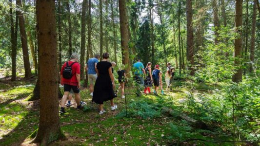 Wild op Woensdag - foto LauraCsonka