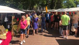 Wollig landleven - foto aangeleverd