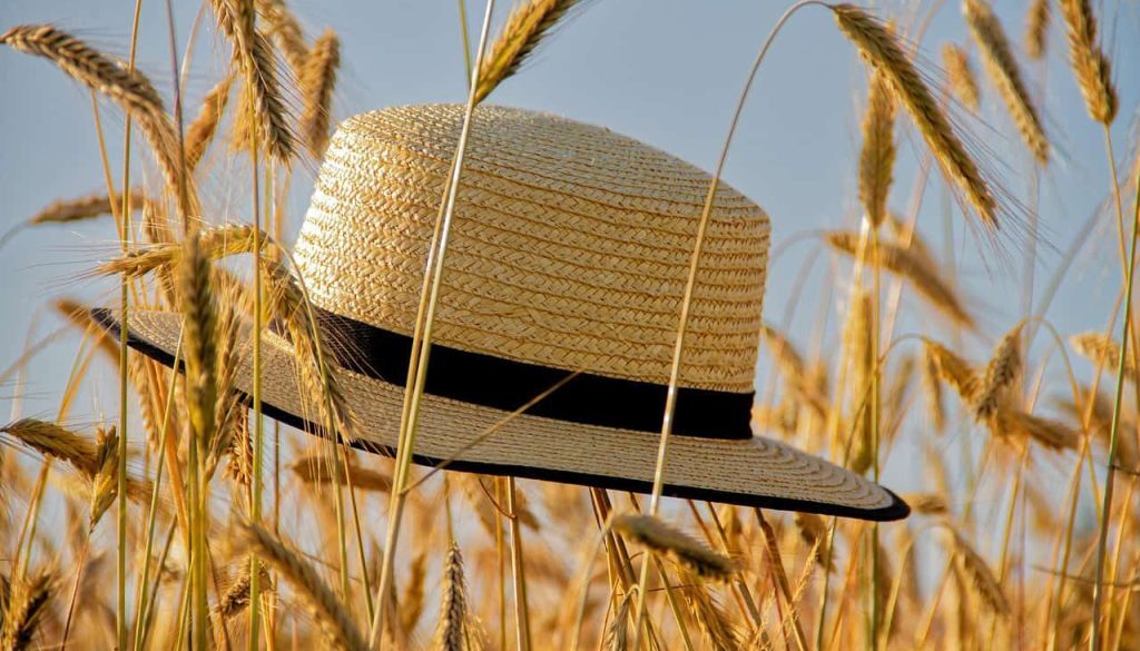 zomer (Foto Pixabay)