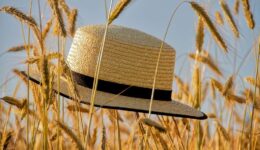 zomer (Foto Pixabay)