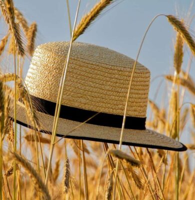zomer (Foto Pixabay)