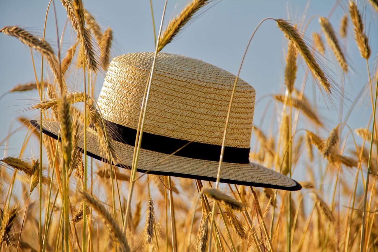 zomer (Foto Pixabay)