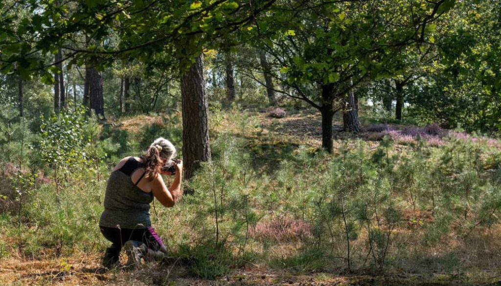 Workshop Fotografie Femke Banga - foto aangeleverd