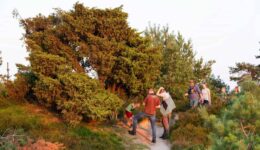 Zomeravondwandeling Aekingerzand - foto Laura Csonka