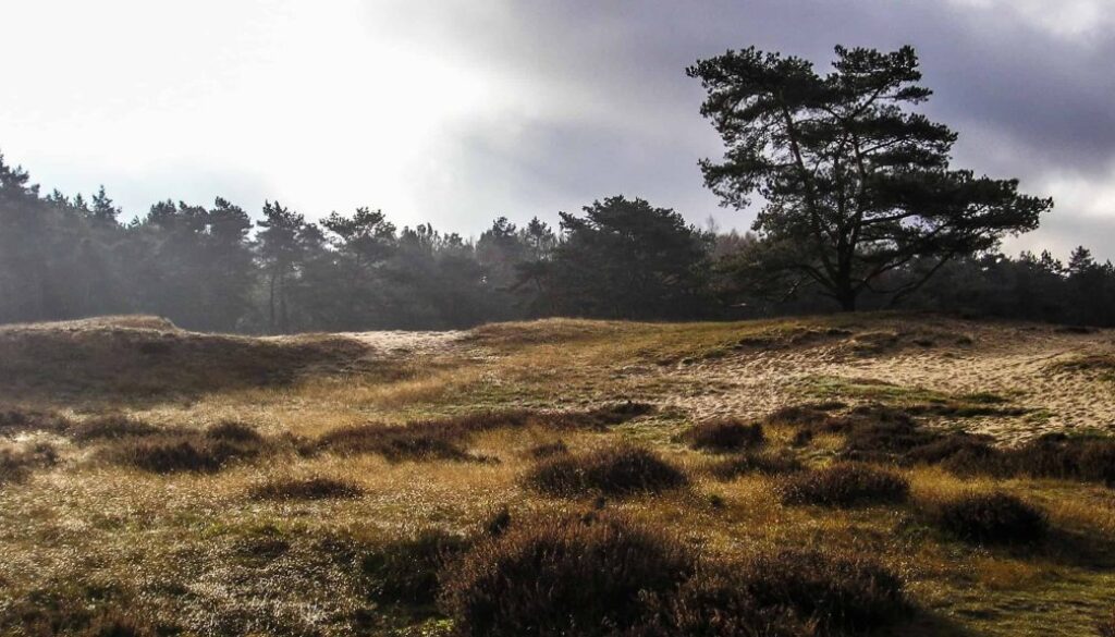 Drouwenerzand - foto aangeleverd