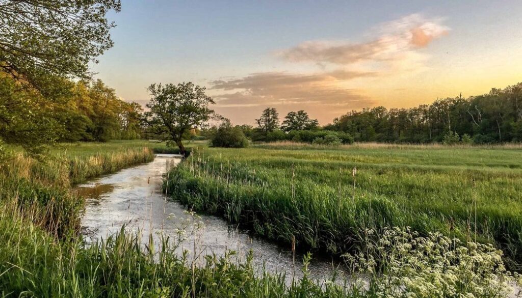 oudemolensche diep - foto T. Manak