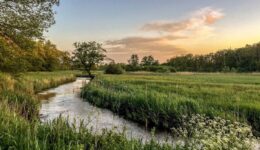 oudemolensche diep - foto T. Manak