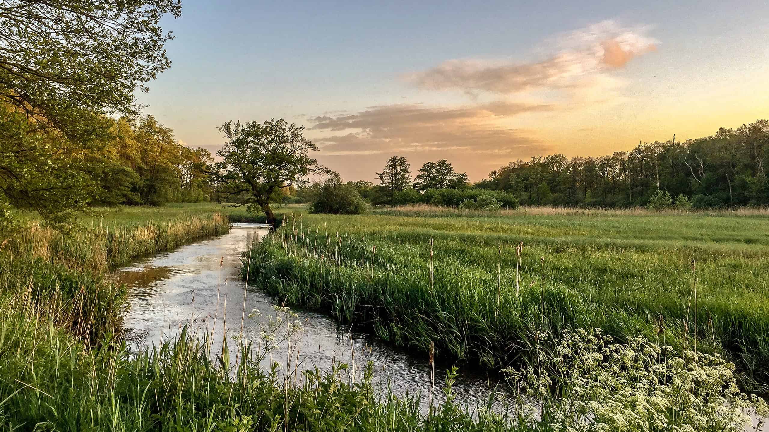 oudemolensche diep - foto T. Manak