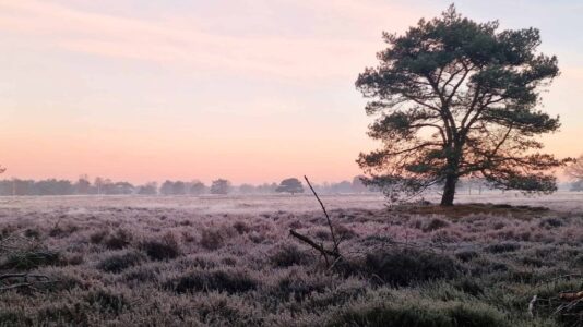 Drentsche Aa herfst groote zand - Foto NP