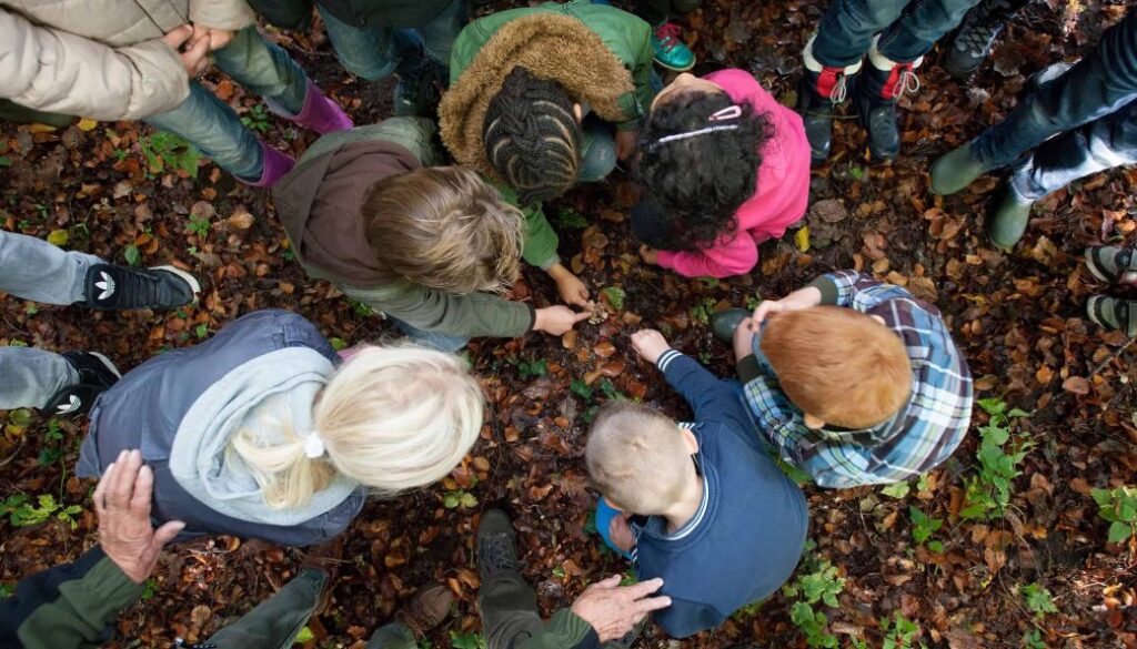 Prachtige groep kinderen en volwassenen onderzoekt de herfstbladeren in het bos, leren over natuur en biodiversiteit, educatieve buitenactiviteit, duurzaam milieueducatie, leren over natuur.