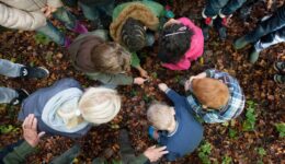 Prachtige groep kinderen en volwassenen onderzoekt de herfstbladeren in het bos, leren over natuur en biodiversiteit, educatieve buitenactiviteit, duurzaam milieueducatie, leren over natuur.