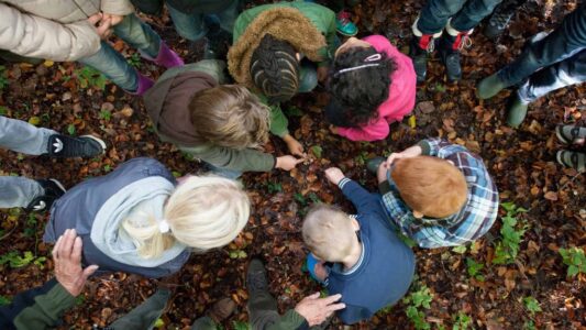 Prachtige groep kinderen en volwassenen onderzoekt de herfstbladeren in het bos, leren over natuur en biodiversiteit, educatieve buitenactiviteit, duurzaam milieueducatie, leren over natuur.
