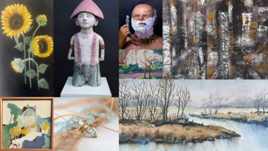 Mini-expo’s & Overzichtstentoonstelling - fotos aangeleverd