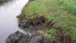 Gerede aardverschuiving en afwateringsproblemen langs een graskant bij een rivier of kanaal. Het beeld toont de beschadigde bodem en de insnijdingen in het talud door water en regenval.