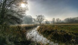 Voldoende mistige natuurlandschappen met een kabbelende rivier, bomen en ochtendzon, perfect voor rust, natuurbehoud en outdoor activiteiten in Nederland.